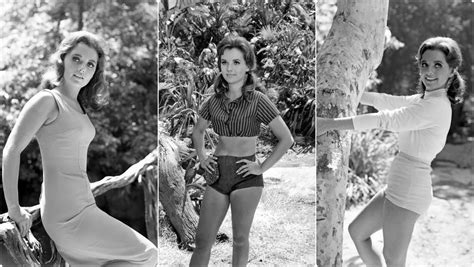 dawn wells sexy pics|30 Portrait Photos of Dawn Wells in the 1960s